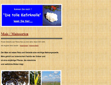 Tablet Screenshot of mais.brotbier.de